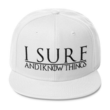 I Surf and I know Things #GOT Wool Blend Snapback