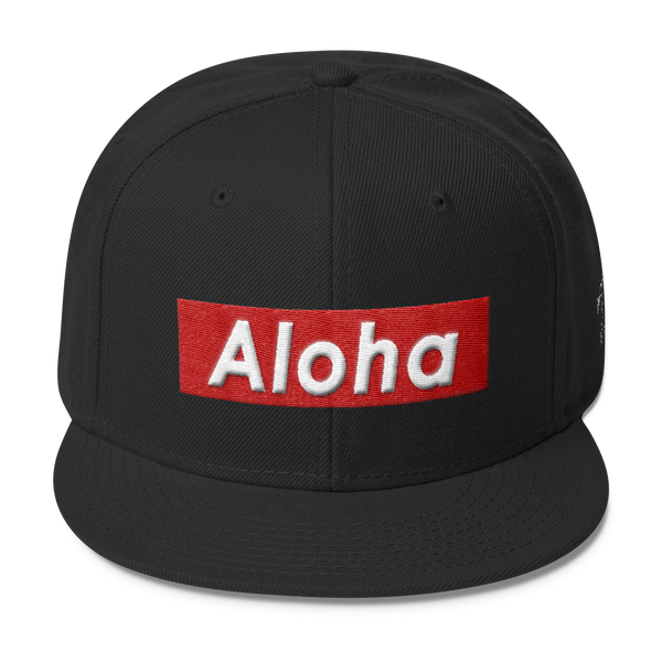 Rhythm Arts -AlohaBox- Snapback Hat-R