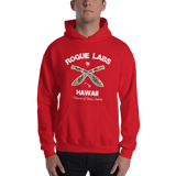 Young model wearing a Rogue Labs Hawaii unisex hoodie that has a urban street themed graphic logo on the front.